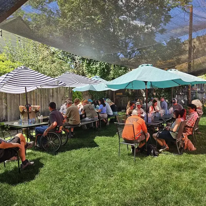A group of people sit around tables under umbrellas and shade cloths in a sunny backyard, enjoying food and conversation.